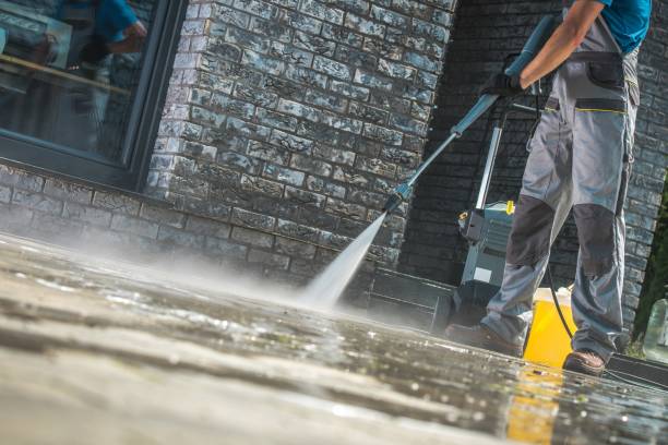 Best House Exterior Washing  in Holley, NY